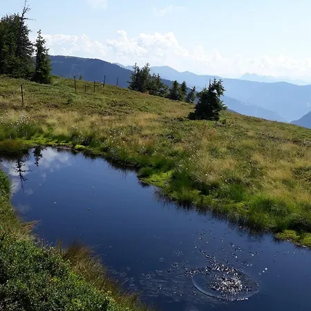 Apartament Haus Millauer