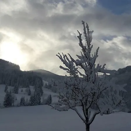 Appartamento Haus Millauer *