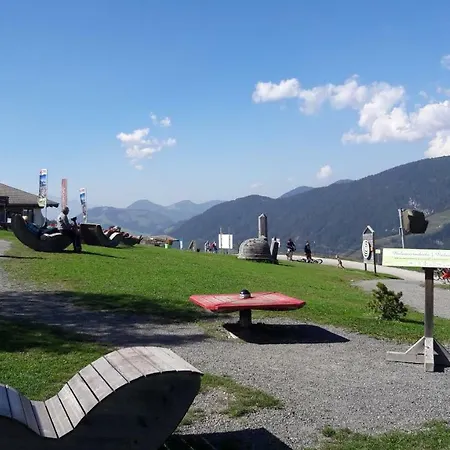 Haus Millauer * Leogang